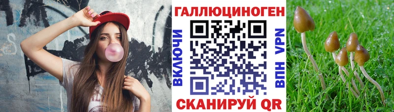 сколько стоит  дарк нет как зайти  Галлюциногенные грибы прущие грибы  Чапаевск 